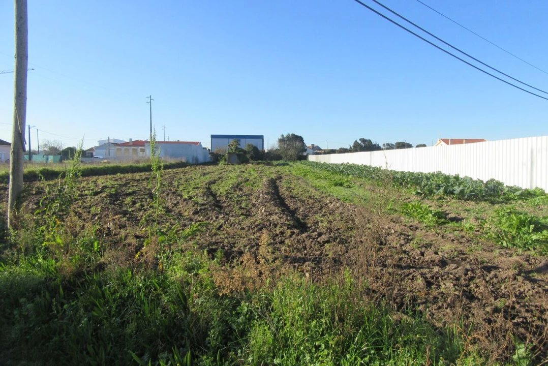 Terreno para Venda em Monte Real e Carvide Foto 2