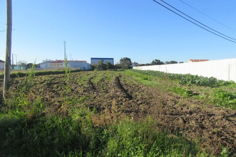 Terreno para Venda em Monte Real e Carvide Foto 2