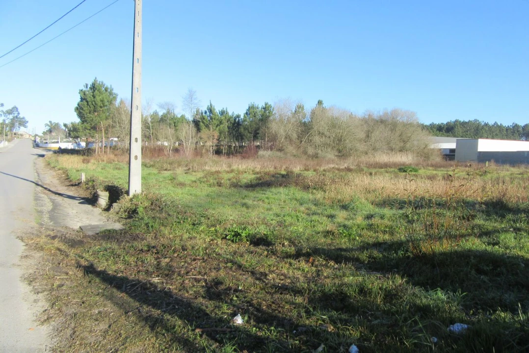 Terreno para Venda em Monte Real e Carvide Foto 4