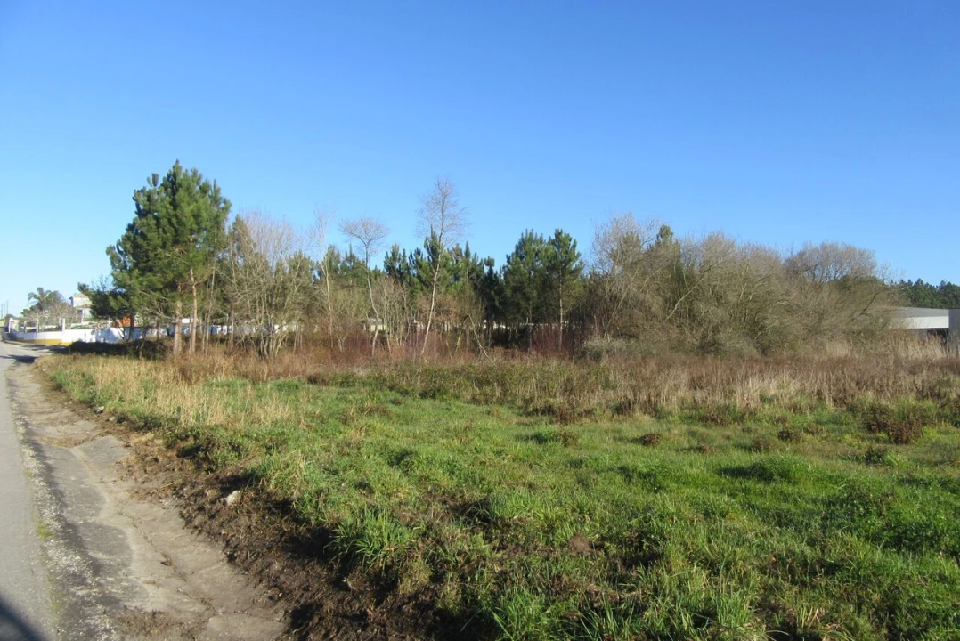 Terreno para Venda em Monte Real e Carvide Foto 5