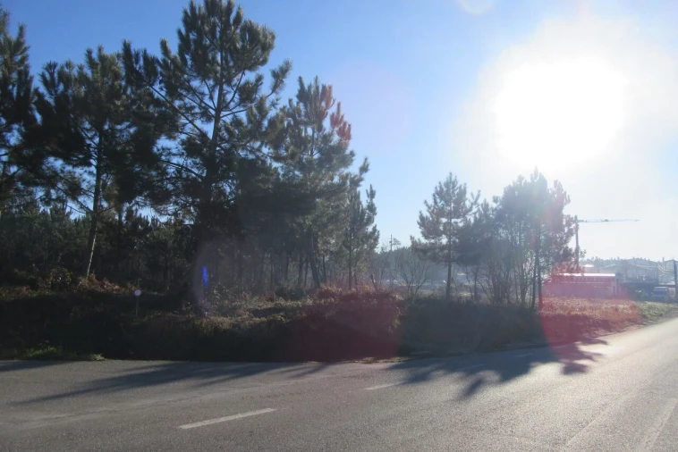 Terreno para Venda em Monte Real e Carvide Foto 3