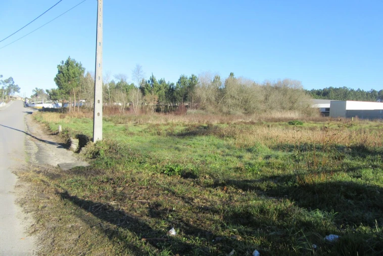 Terreno para Venda em Monte Real e Carvide Foto 4