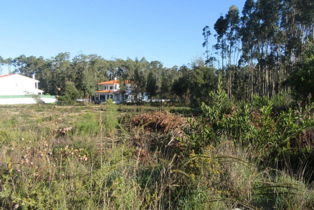 Terreno para Venda em Monte Real e Carvide Foto 6