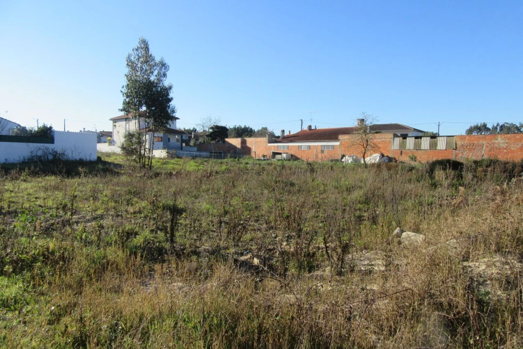 Terreno para Venda em Monte Real e Carvide Foto 8