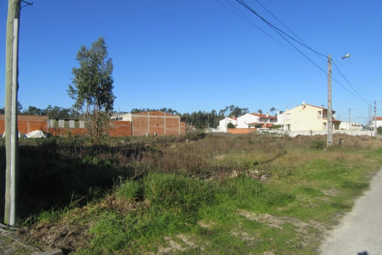 Terreno para Venda em Monte Real e Carvide Foto 2