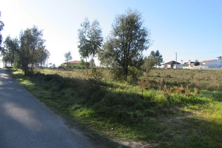 Terreno para Venda em Monte Real e Carvide Foto 3