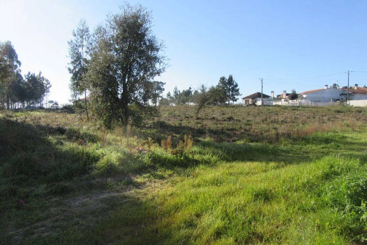 Terreno para Venda em Monte Real e Carvide Foto 9