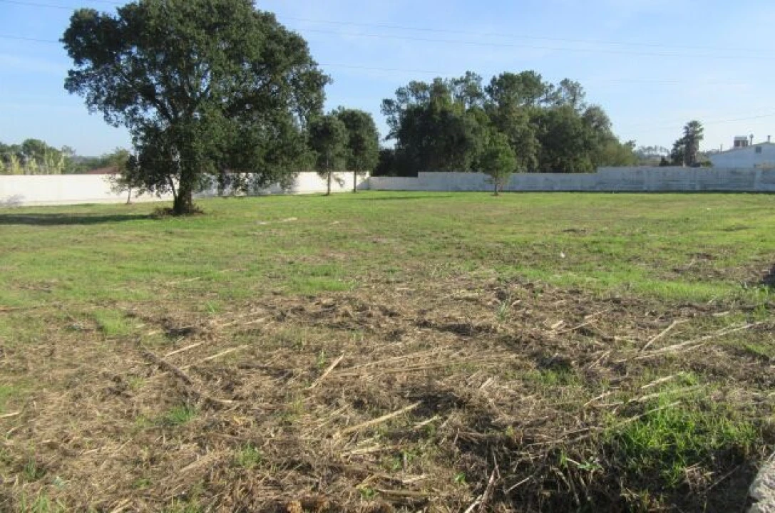 Terreno para Venda em Monte Real e Carvide Foto 3