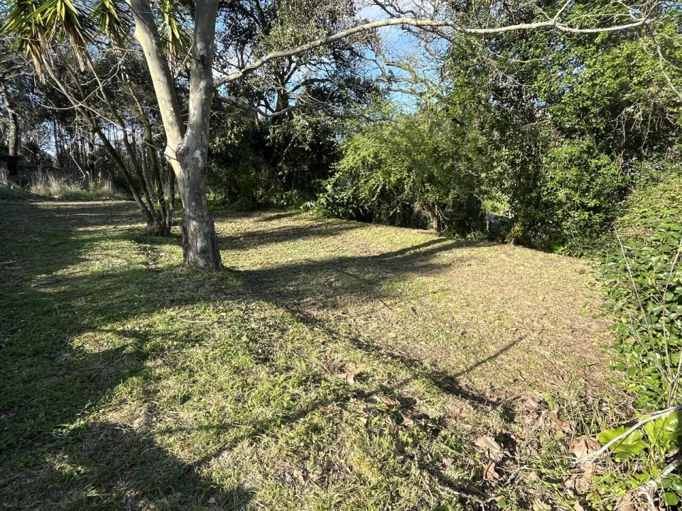 Moradia T4 para Venda em Alcobaça e Vestiaria Foto 7