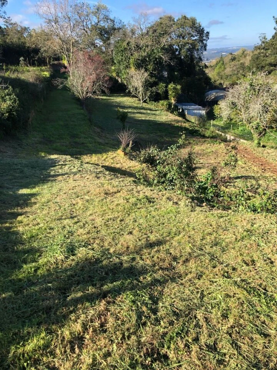 Moradia T4 para Venda em Alcobaça e Vestiaria Foto 6