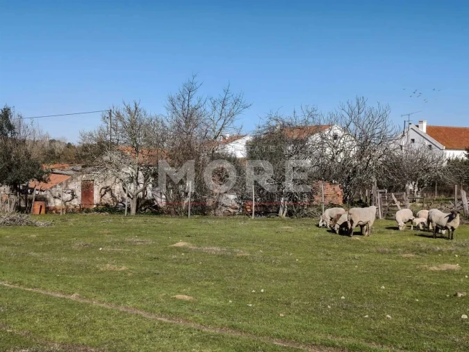 Terreno para Venda em Bacelo e Senhora da Saúde Foto 2