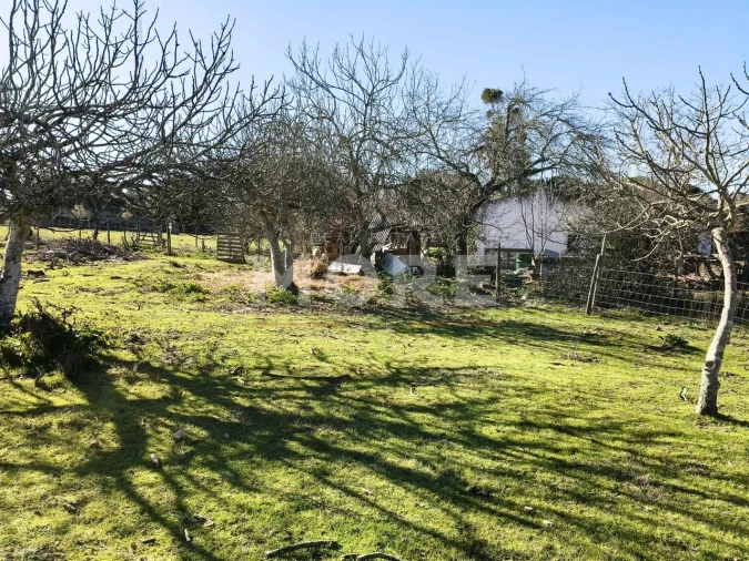 Terreno para Venda em Bacelo e Senhora da Saúde Foto 13
