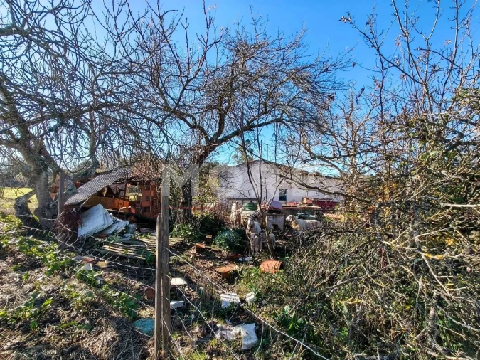 Terreno para Venda em Bacelo e Senhora da Saúde Foto 14