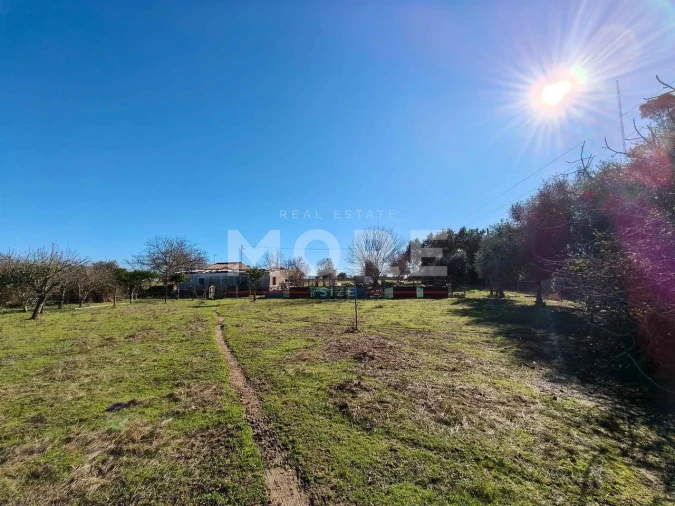 Terreno para Venda em Bacelo e Senhora da Saúde Foto 5