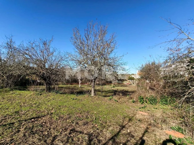 Terreno para Venda em Bacelo e Senhora da Saúde Foto 20