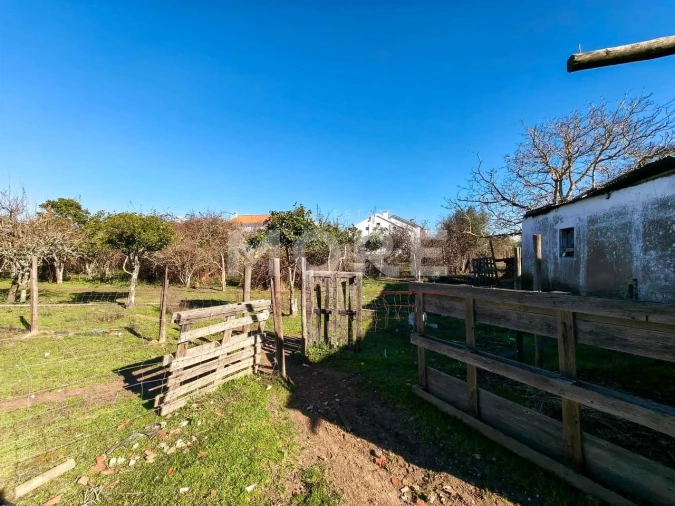 Terreno para Venda em Bacelo e Senhora da Saúde Foto 7