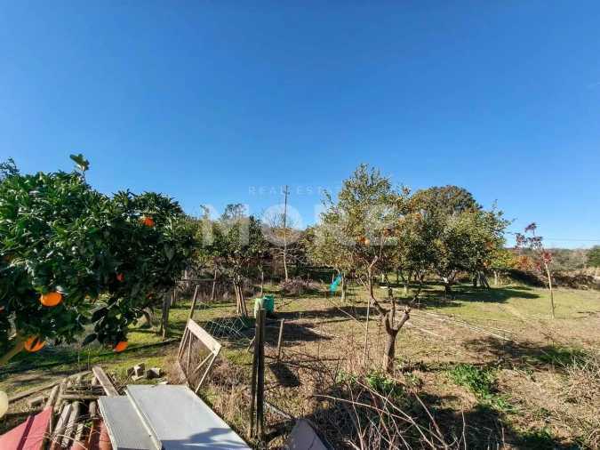 Terreno para Venda em Bacelo e Senhora da Saúde Foto 25