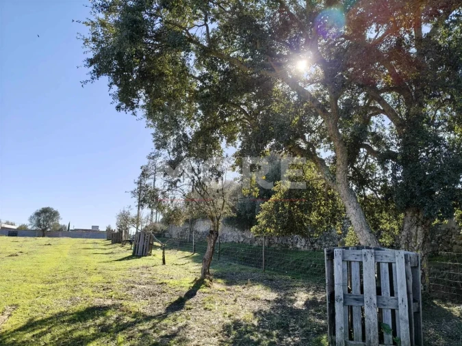 Terreno para Venda em Bacelo e Senhora da Saúde Foto 3