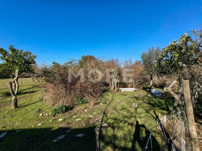 Terreno para Venda em Bacelo e Senhora da Saúde Foto 19