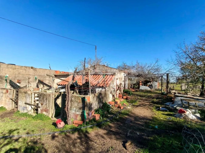 Terreno para Venda em Bacelo e Senhora da Saúde Foto 12
