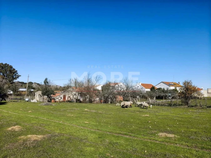 Terreno para Venda em Bacelo e Senhora da Saúde