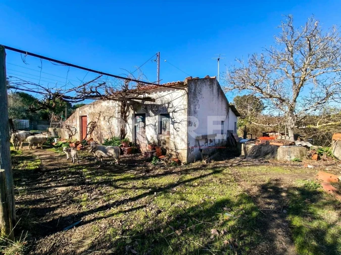 Terreno para Venda em Bacelo e Senhora da Saúde Foto 15