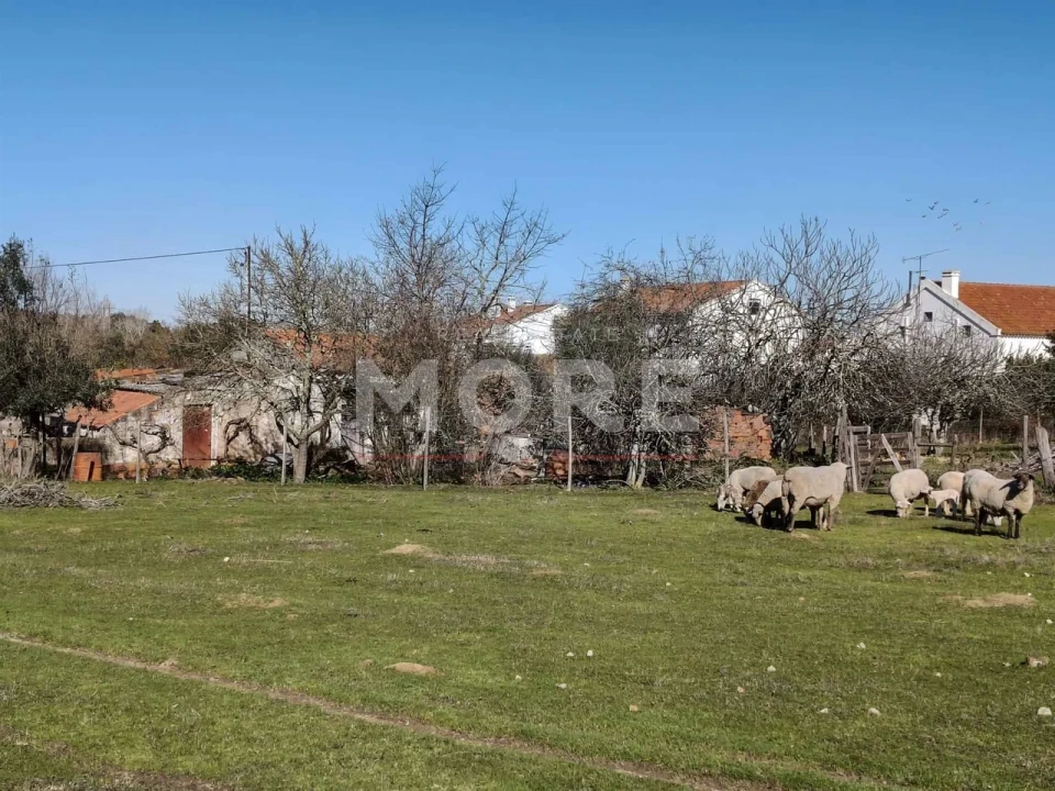 Terreno para Venda em Bacelo e Senhora da Saúde Foto 2