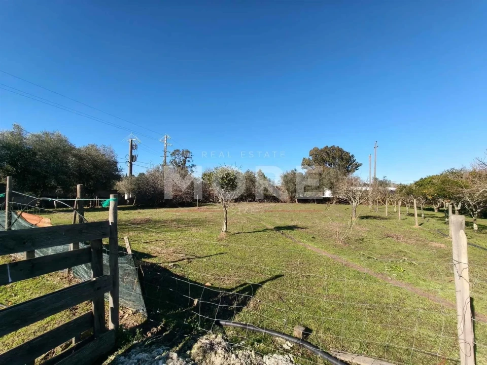 Terreno para Venda em Bacelo e Senhora da Saúde Foto 10