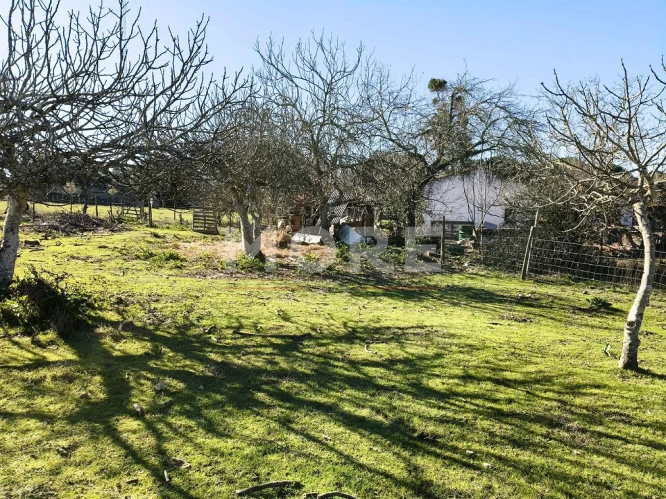 Terreno para Venda em Bacelo e Senhora da Saúde Foto 13