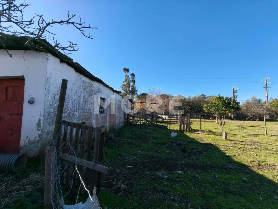 Terreno para Venda em Bacelo e Senhora da Saúde Foto 11