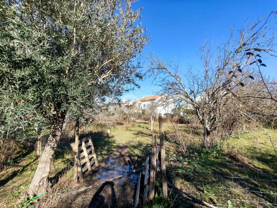 Terreno para Venda em Bacelo e Senhora da Saúde Foto 16