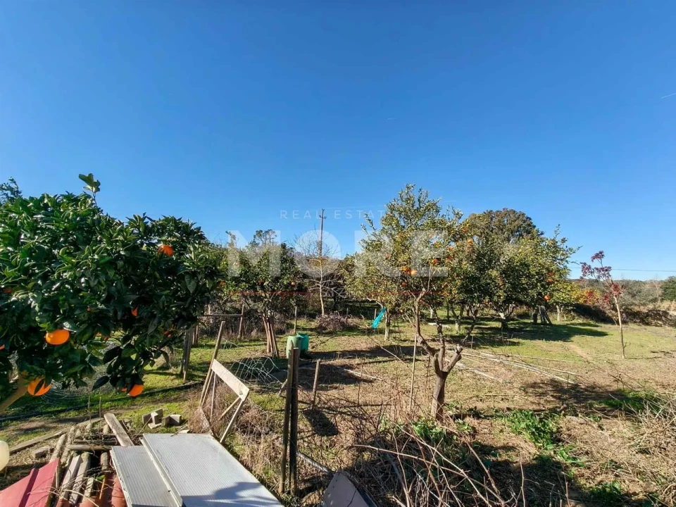 Terreno para Venda em Bacelo e Senhora da Saúde Foto 25