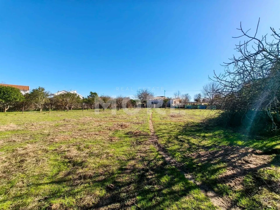 Terreno para Venda em Bacelo e Senhora da Saúde Foto 8