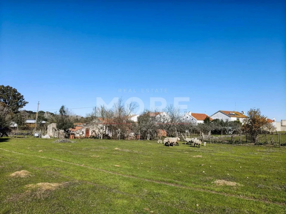 Terreno para Venda em Bacelo e Senhora da Saúde Foto 1
