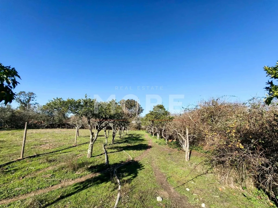 Terreno para Venda em Bacelo e Senhora da Saúde Foto 6