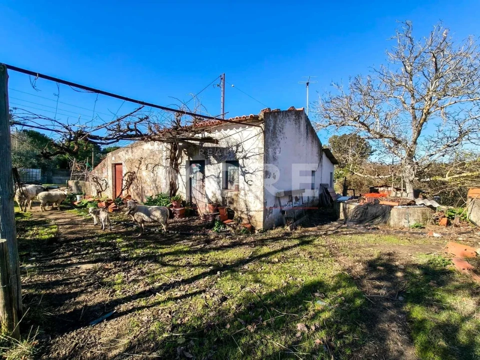 Terreno para Venda em Bacelo e Senhora da Saúde Foto 15