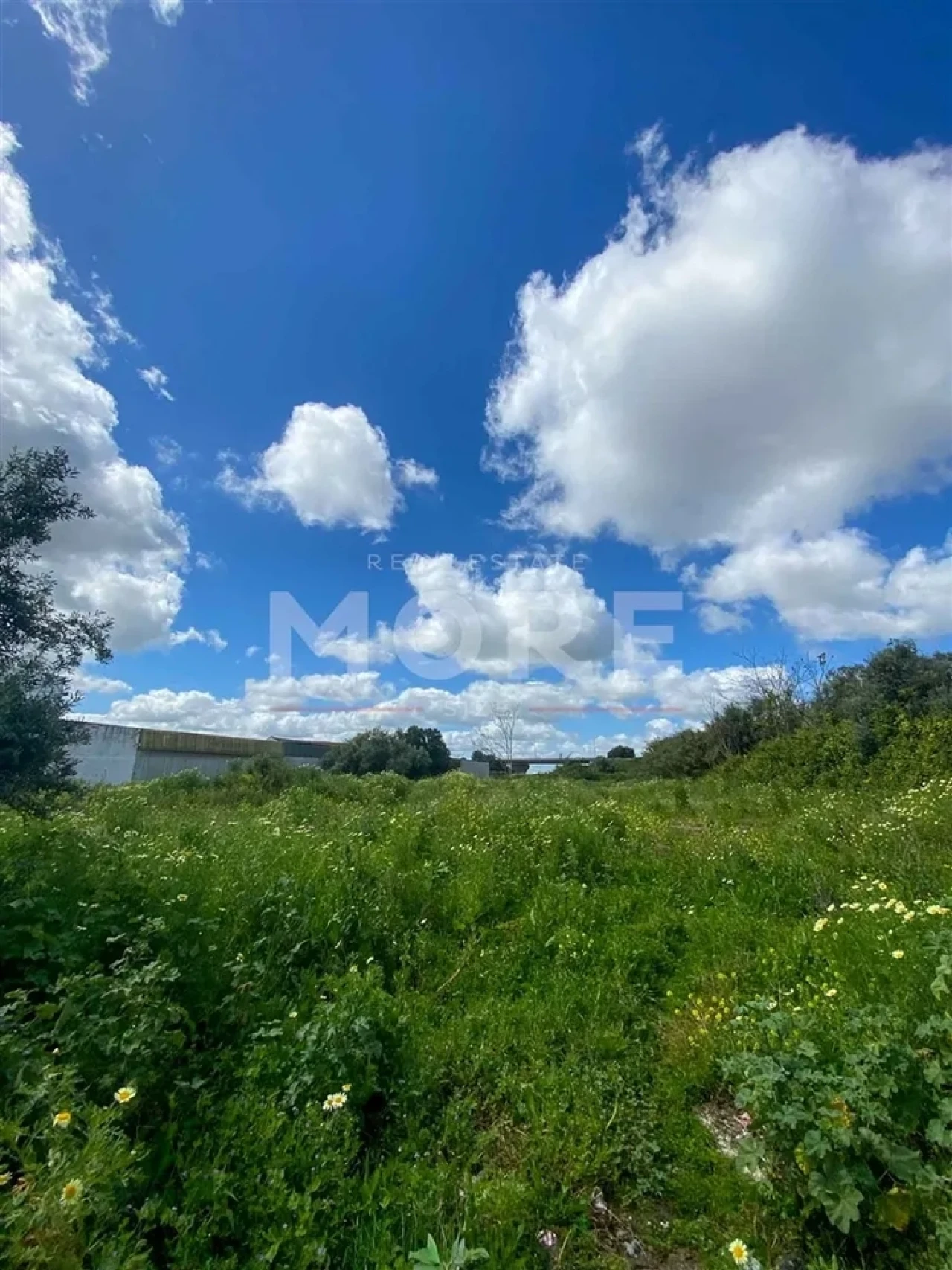 Terreno para Venda em Bacelo e Senhora da Saúde Foto 2