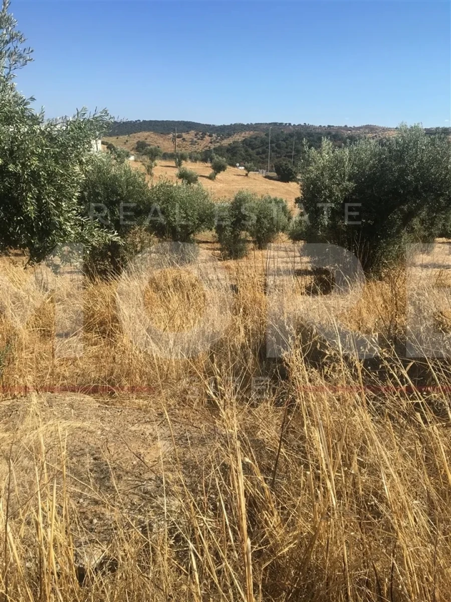 Terreno para Venda em Amieira e Alqueva Foto 2