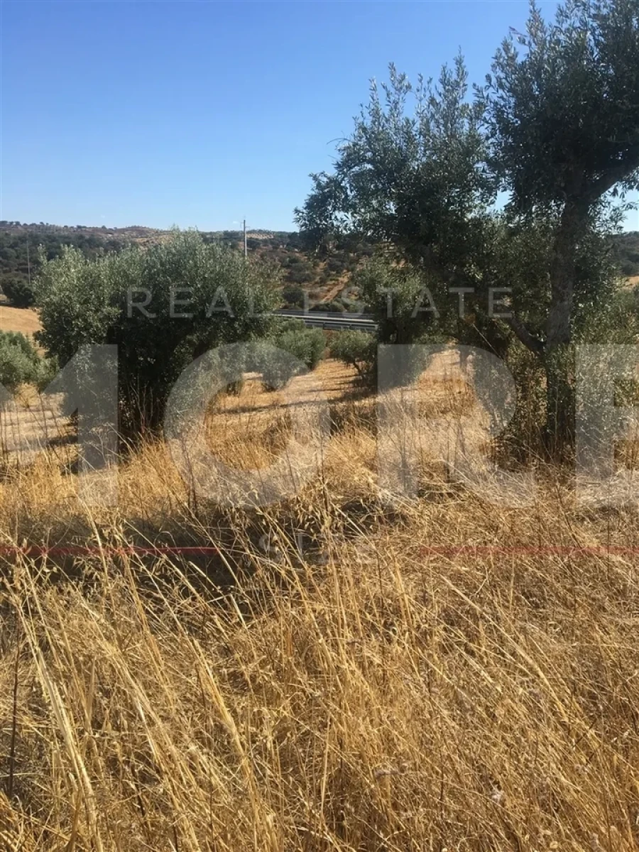 Terreno para Venda em Amieira e Alqueva Foto 4