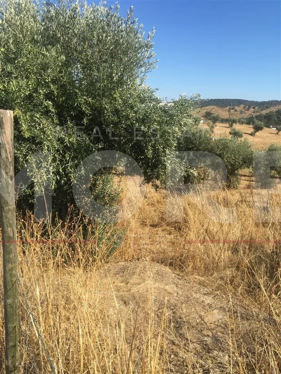 Terreno para Venda em Amieira e Alqueva Foto 5