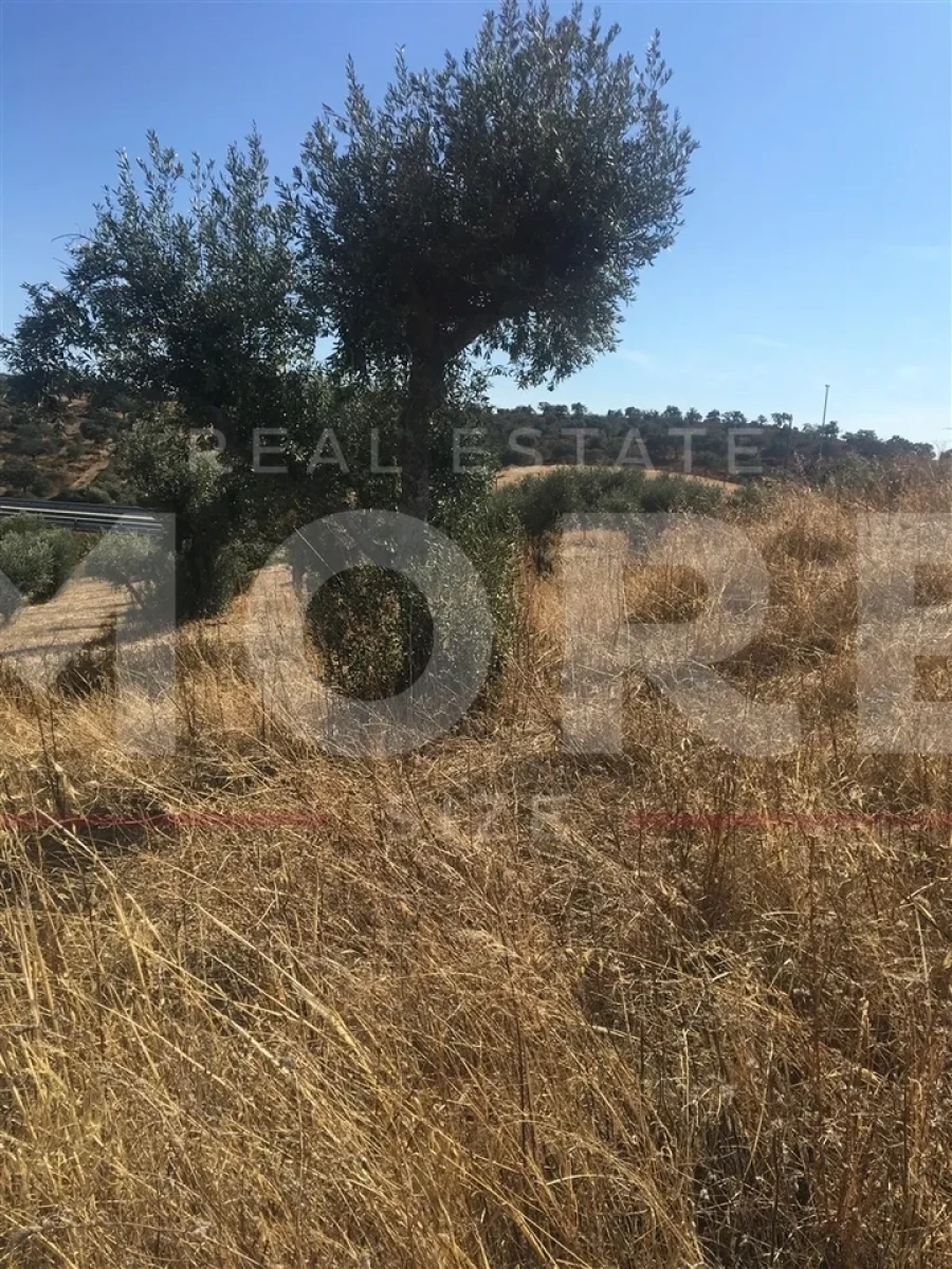 Terreno para Venda em Amieira e Alqueva Foto 3