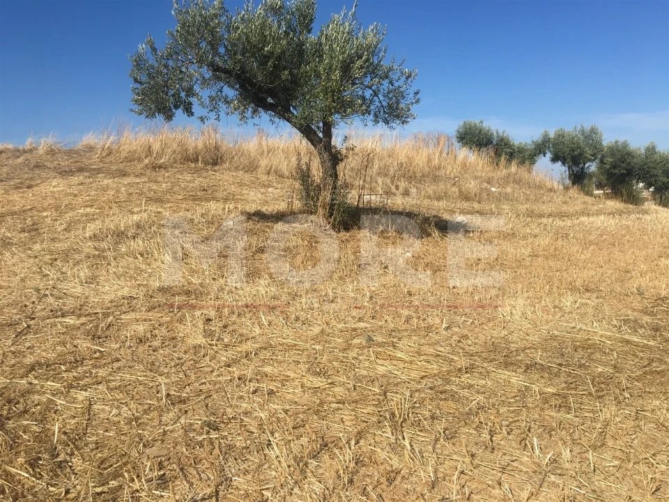 Terreno para Venda em Amieira e Alqueva Foto 10
