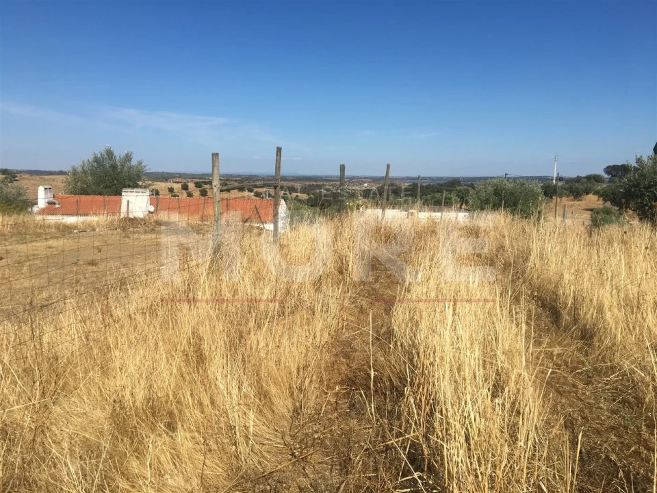 Terreno para Venda em Amieira e Alqueva Foto 9