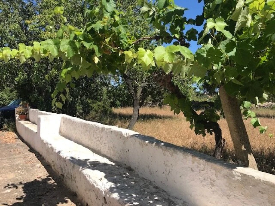 Moradia T4 para Venda em Algoz e Tunes Foto 3