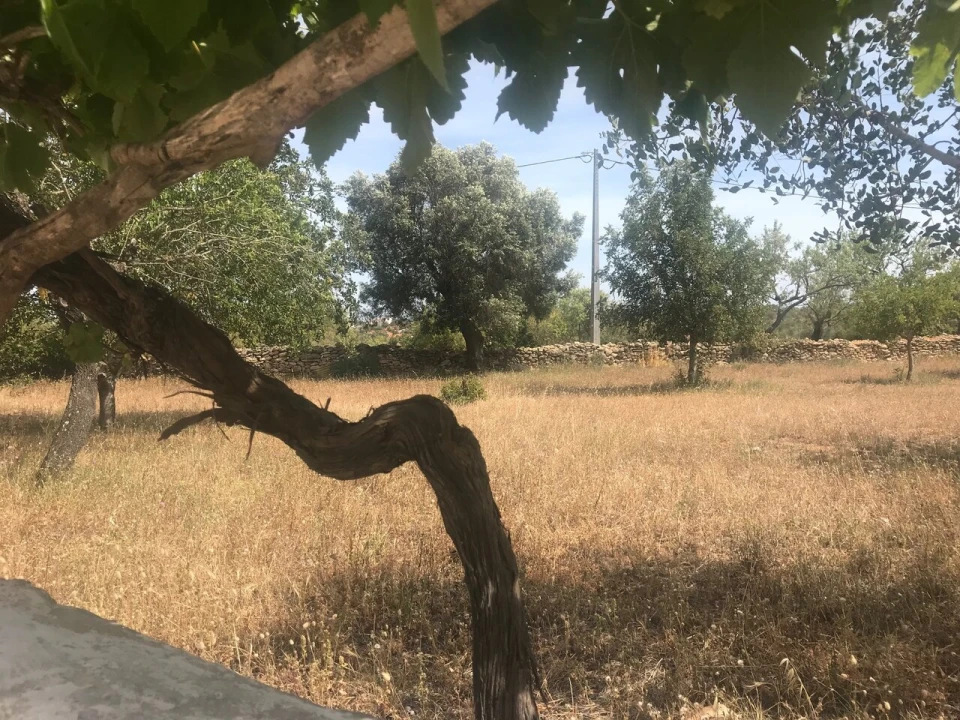 Moradia T4 para Venda em Algoz e Tunes Foto 8