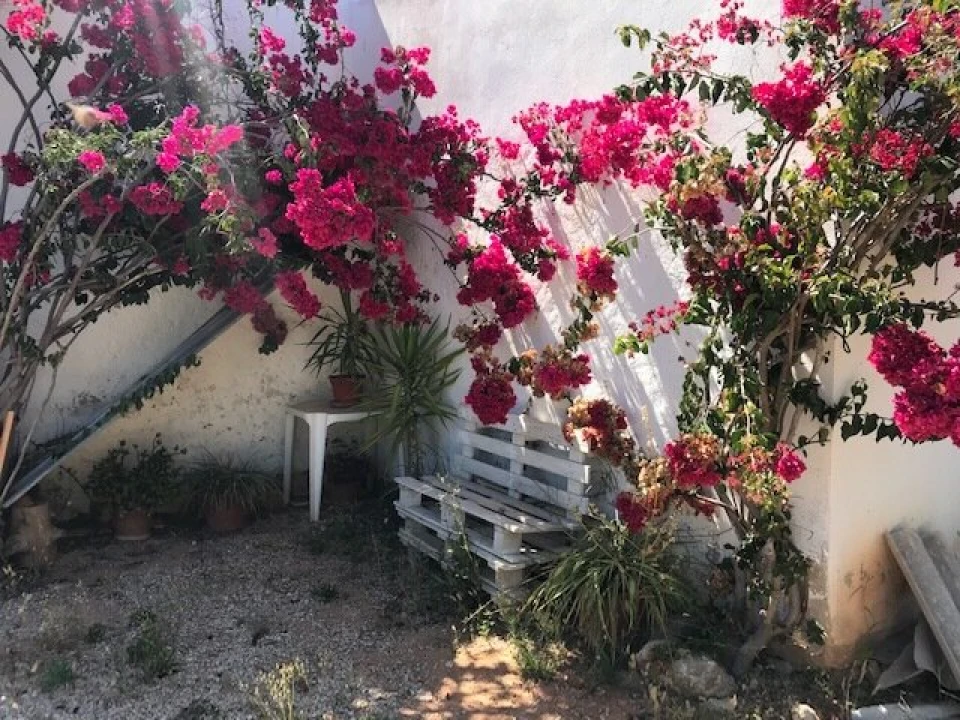 Moradia T4 para Venda em Algoz e Tunes Foto 12