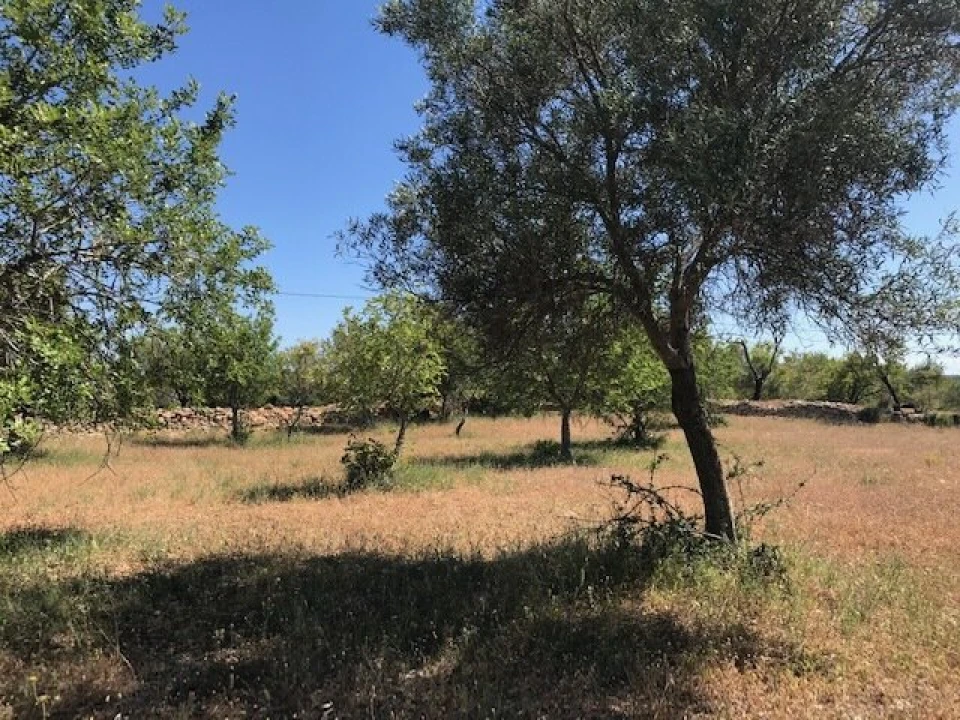 Moradia T4 para Venda em Algoz e Tunes Foto 28