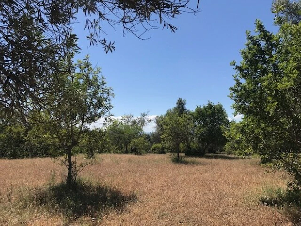 Moradia T4 para Venda em Algoz e Tunes Foto 29