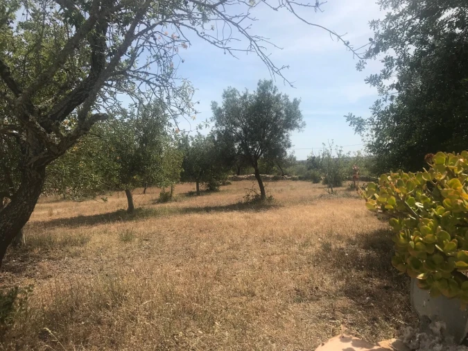 Moradia T4 para Venda em Algoz e Tunes Foto 10