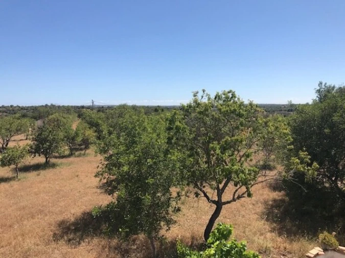 Moradia T4 para Venda em Algoz e Tunes Foto 18